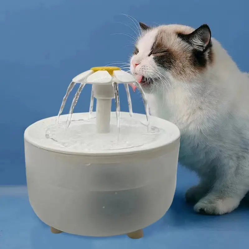 Cat drinking from a flower-top water fountain
