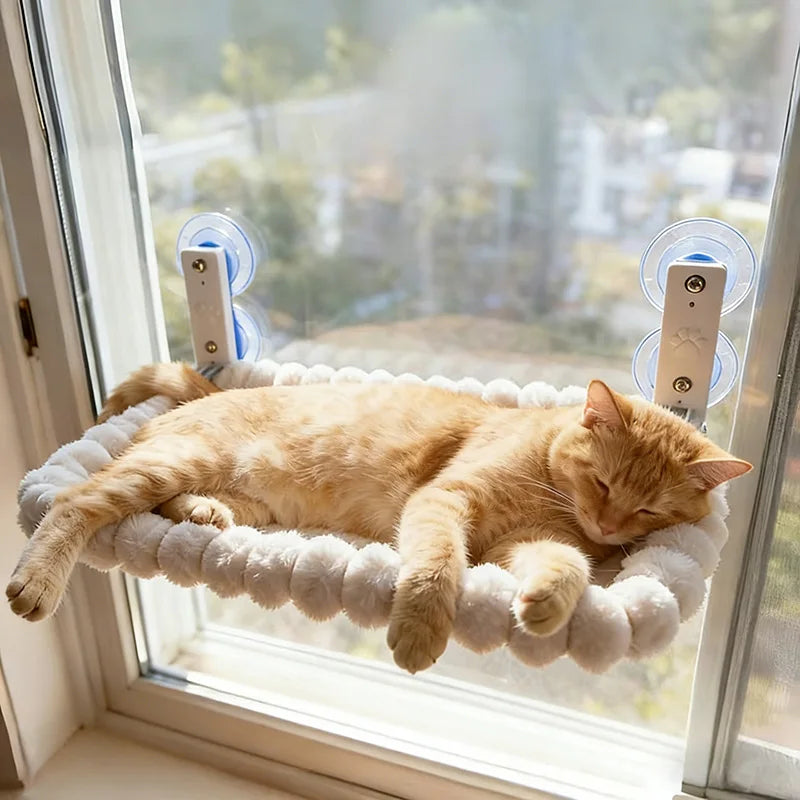 Ginger cat napping on a window hammock