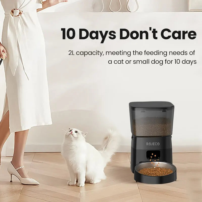 SmartServe feeder dispensing dry food into the bowl