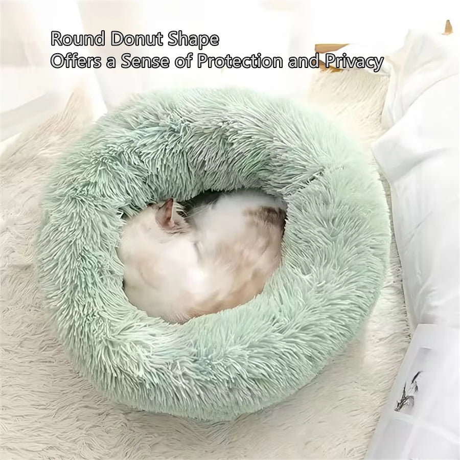 Cat sleeping in a sage green CloudNest donut bed