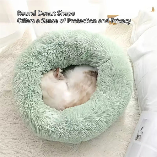 Cat sleeping in a sage green CloudNest donut bed