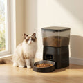 Ragdoll cat sitting beside the black SmartServe automatic feeder in a sunlit room